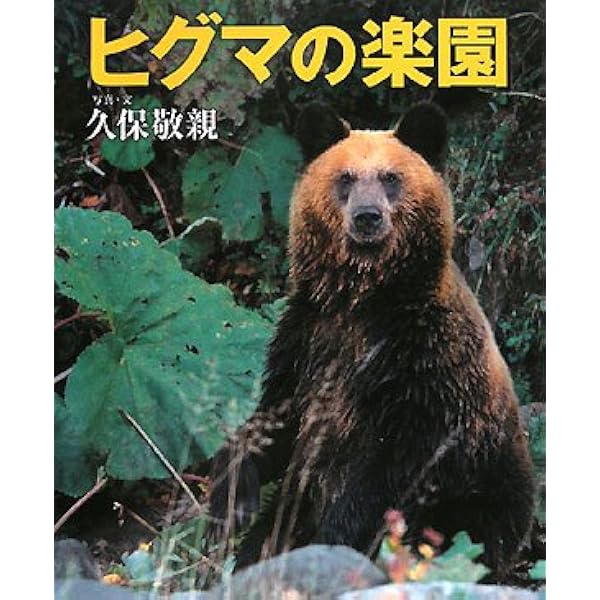 Amazon.co.jp: ヒグマ : 窪田 正克: 本